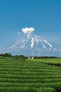 The Top Green Tea Regions of Japan